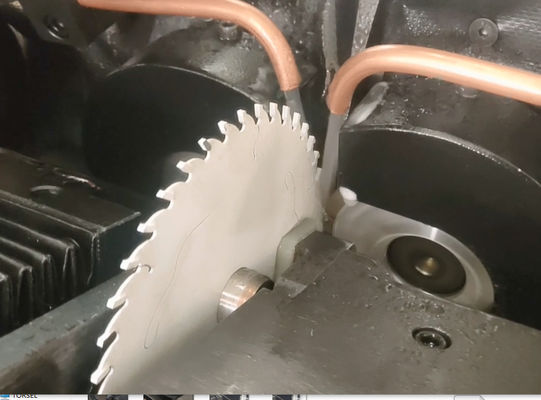 TORSEL CNC шлифовальная машина / оборудование для заточки лезвия